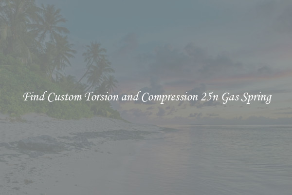 Find Custom Torsion and Compression 25n Gas Spring