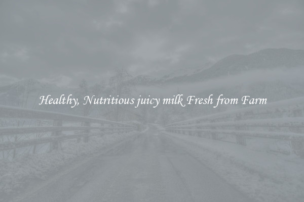 Healthy, Nutritious juicy milk Fresh from Farm
