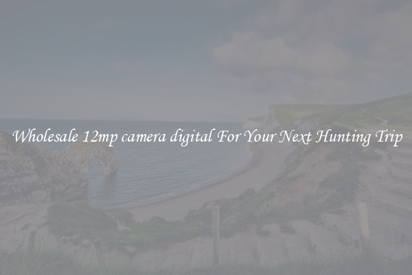Wholesale 12mp camera digital For Your Next Hunting Trip