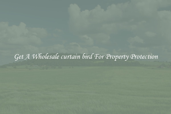 Get A Wholesale curtain bird For Property Protection