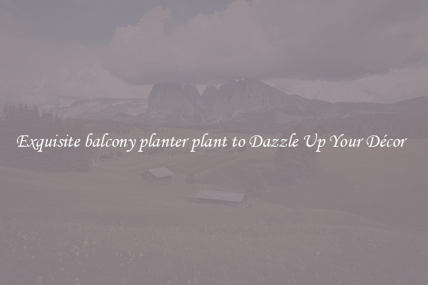 Exquisite balcony planter plant to Dazzle Up Your Décor  