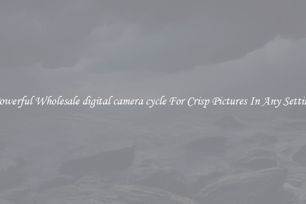 Powerful Wholesale digital camera cycle For Crisp Pictures In Any Setting