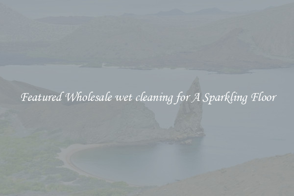 Featured Wholesale wet cleaning for A Sparkling Floor