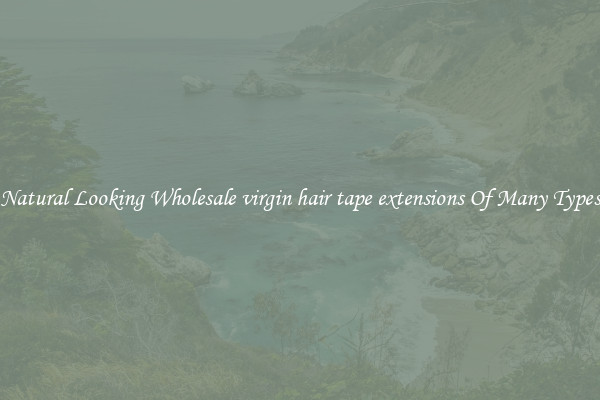 Natural Looking Wholesale virgin hair tape extensions Of Many Types