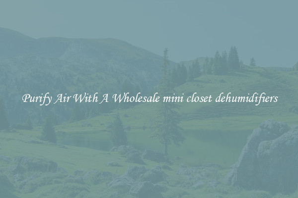 Purify Air With A Wholesale mini closet dehumidifiers