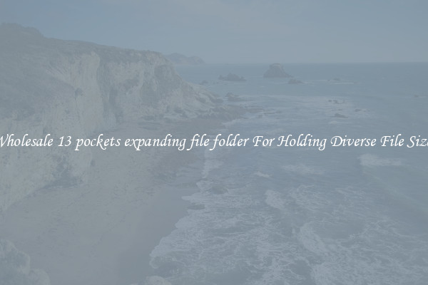 Wholesale 13 pockets expanding file folder For Holding Diverse File Sizes