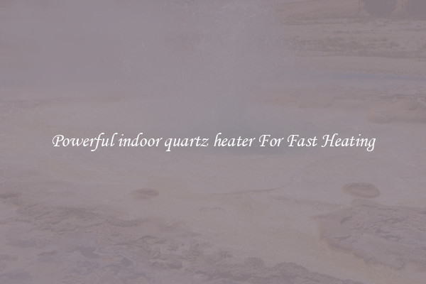 Powerful indoor quartz heater For Fast Heating