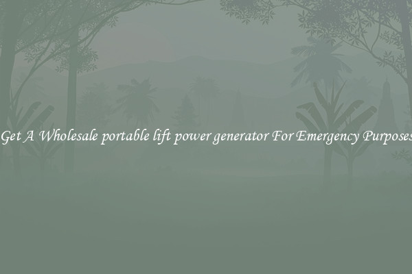 Get A Wholesale portable lift power generator For Emergency Purposes