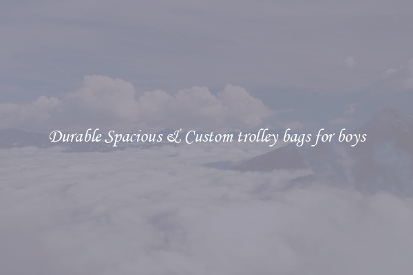 Durable Spacious & Custom trolley bags for boys