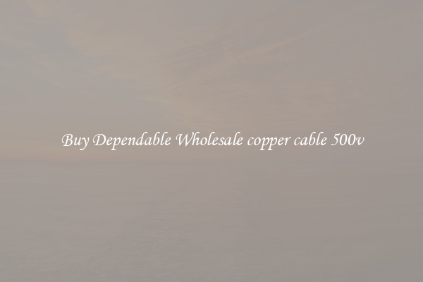 Buy Dependable Wholesale copper cable 500v