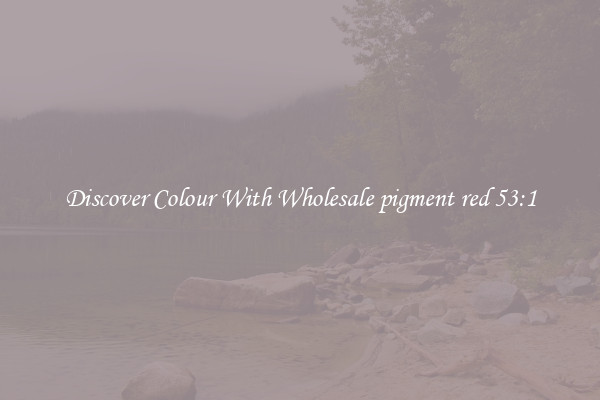 Discover Colour With Wholesale pigment red 53:1