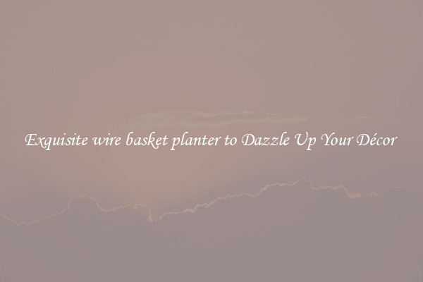 Exquisite wire basket planter to Dazzle Up Your Décor 
