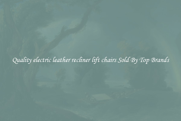 Quality electric leather recliner lift chairs Sold By Top Brands