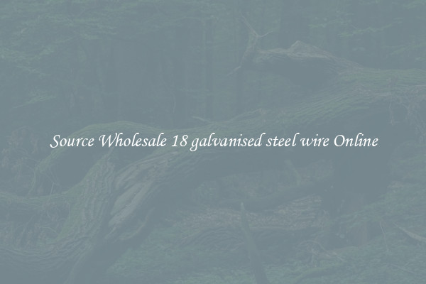 Source Wholesale 18 galvanised steel wire Online