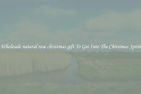 Wholesale natural rose christmas gift To Get Into The Christmas Spirit
