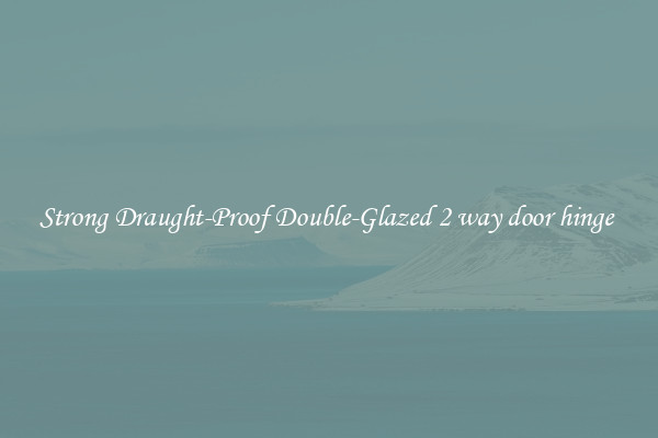 Strong Draught-Proof Double-Glazed 2 way door hinge 