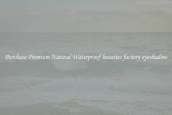 Purchase Premium Natural Waterproof beauties factory eyeshadow