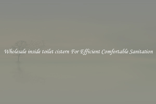 Wholesale inside toilet cistern For Efficient Comfortable Sanitation