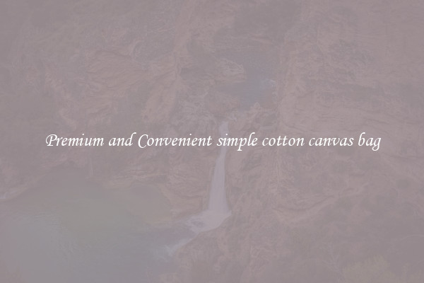 Premium and Convenient simple cotton canvas bag