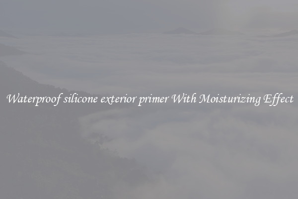 Waterproof silicone exterior primer With Moisturizing Effect