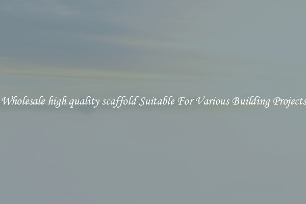 Wholesale high quality scaffold Suitable For Various Building Projects