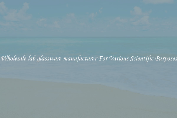 Wholesale lab glassware manufacturer For Various Scientific Purposes