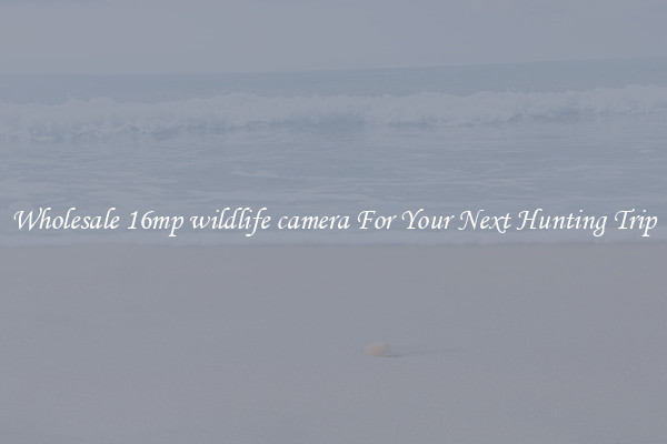Wholesale 16mp wildlife camera For Your Next Hunting Trip