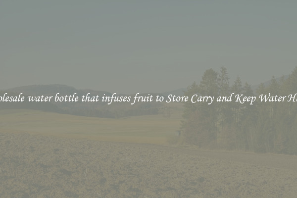 Wholesale water bottle that infuses fruit to Store Carry and Keep Water Handy