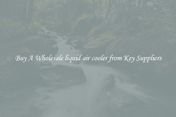Buy A Wholesale liquid air cooler from Key Suppliers