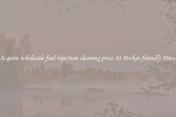 Acquire wholesale fuel injection cleaning price At Pocket-friendly Prices
