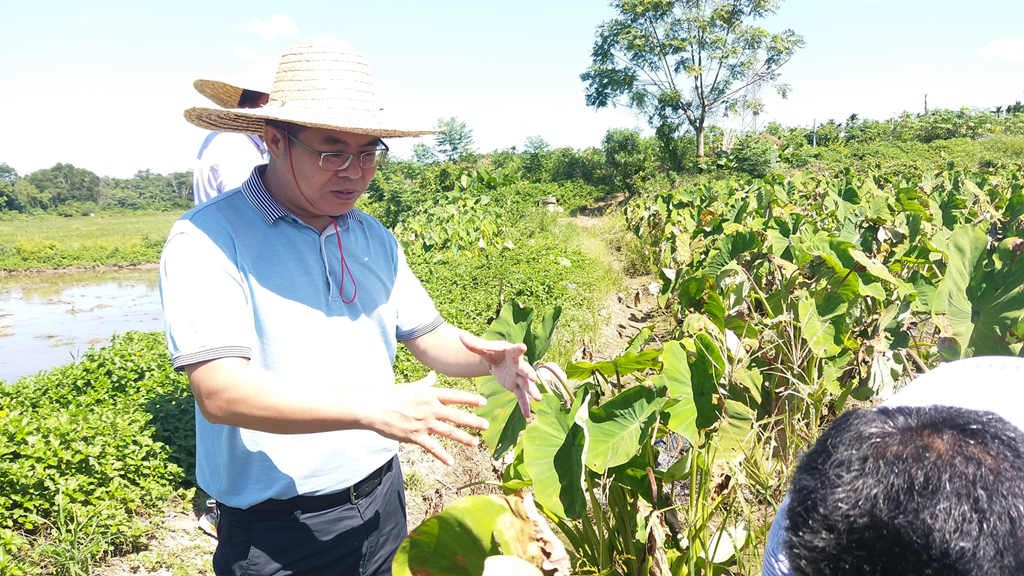 J9国际站|集团官网