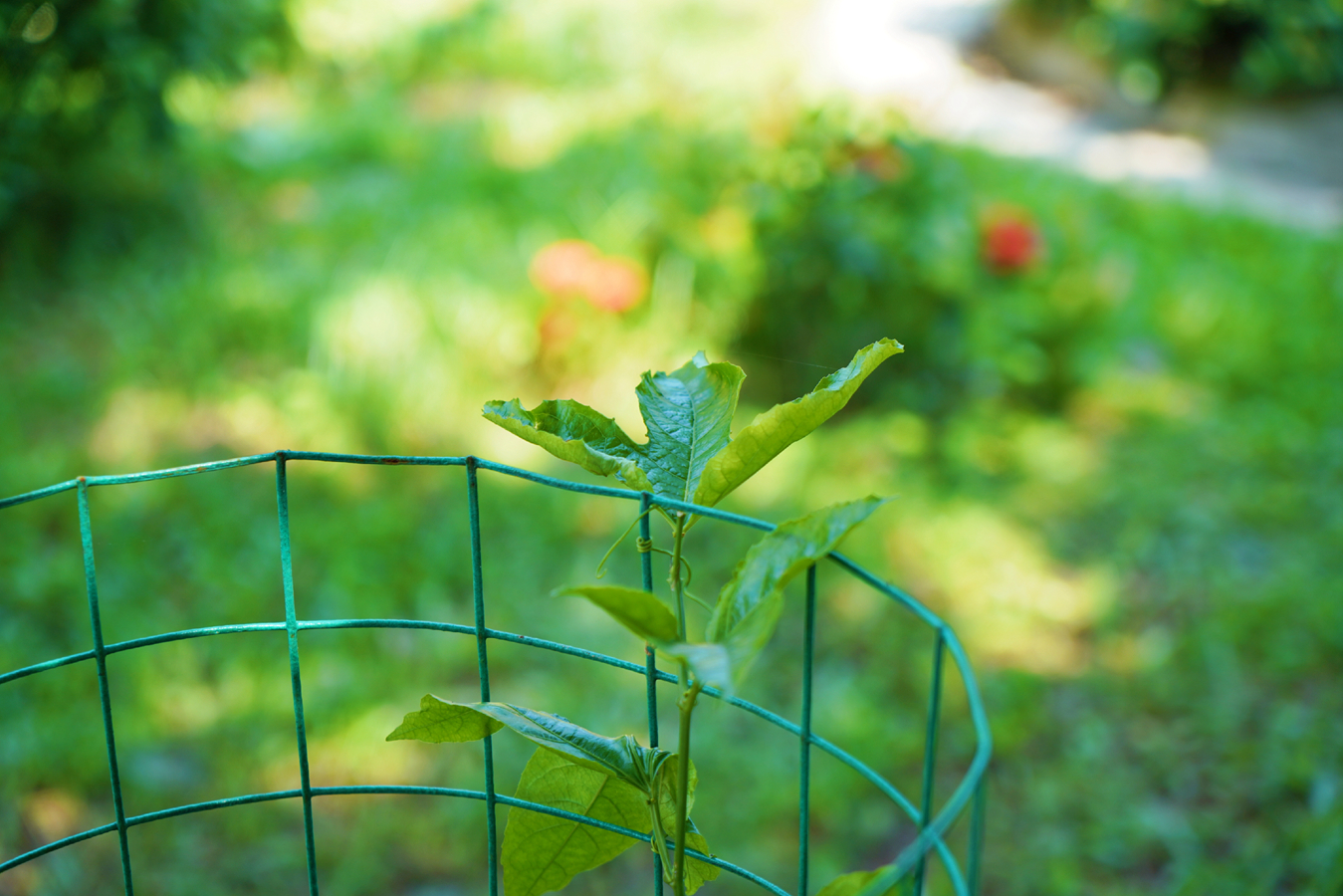 J9国际站|集团官网