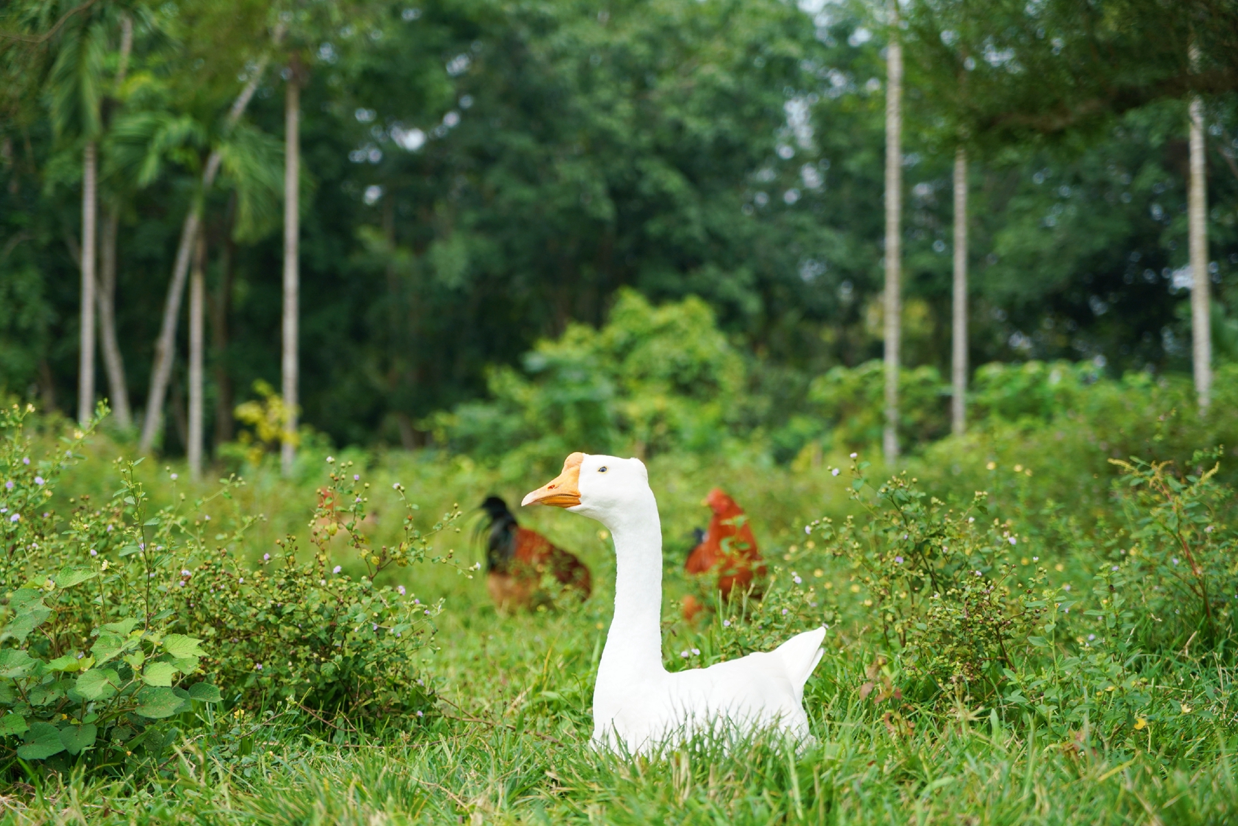J9国际站|集团官网