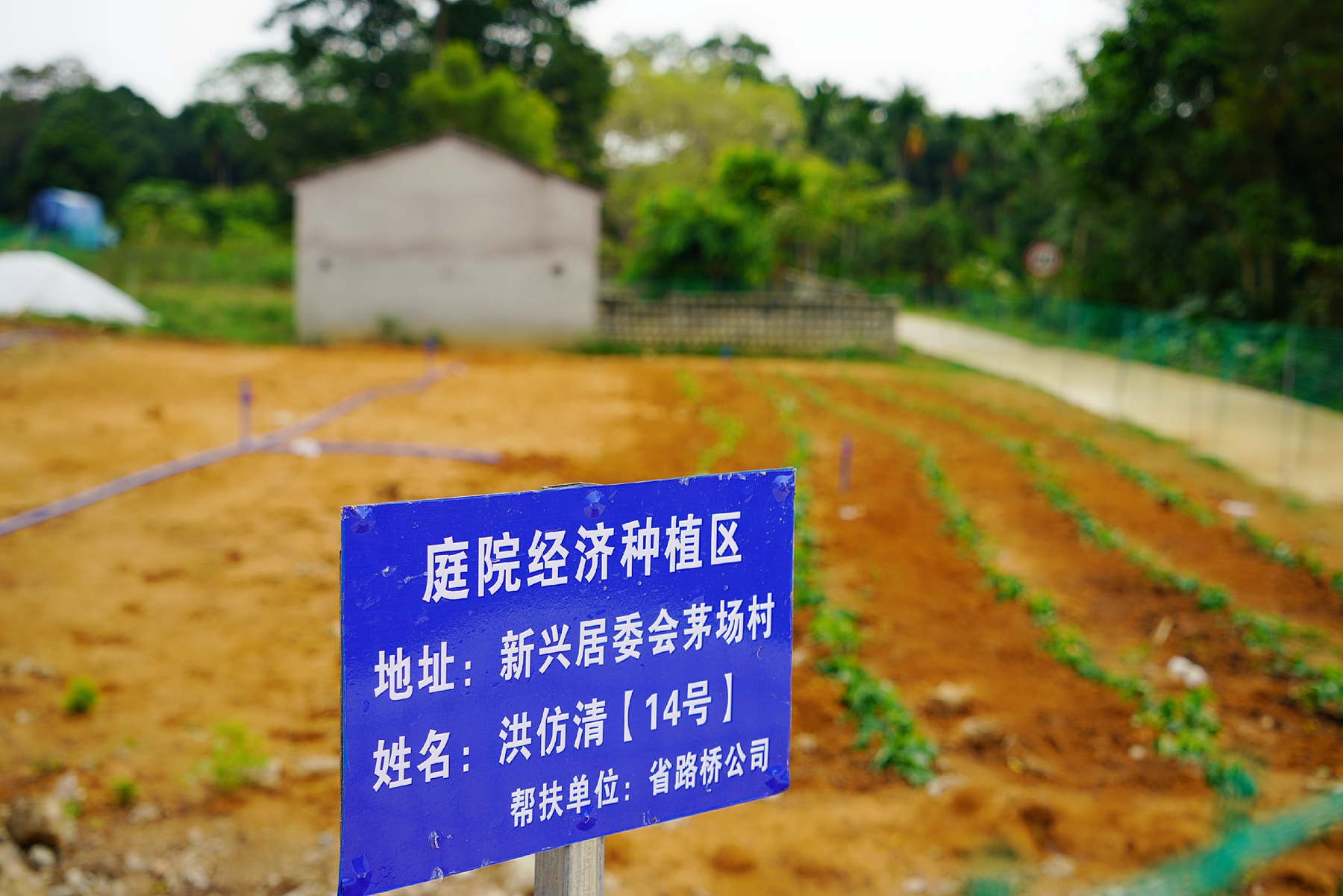 J9国际站|集团官网