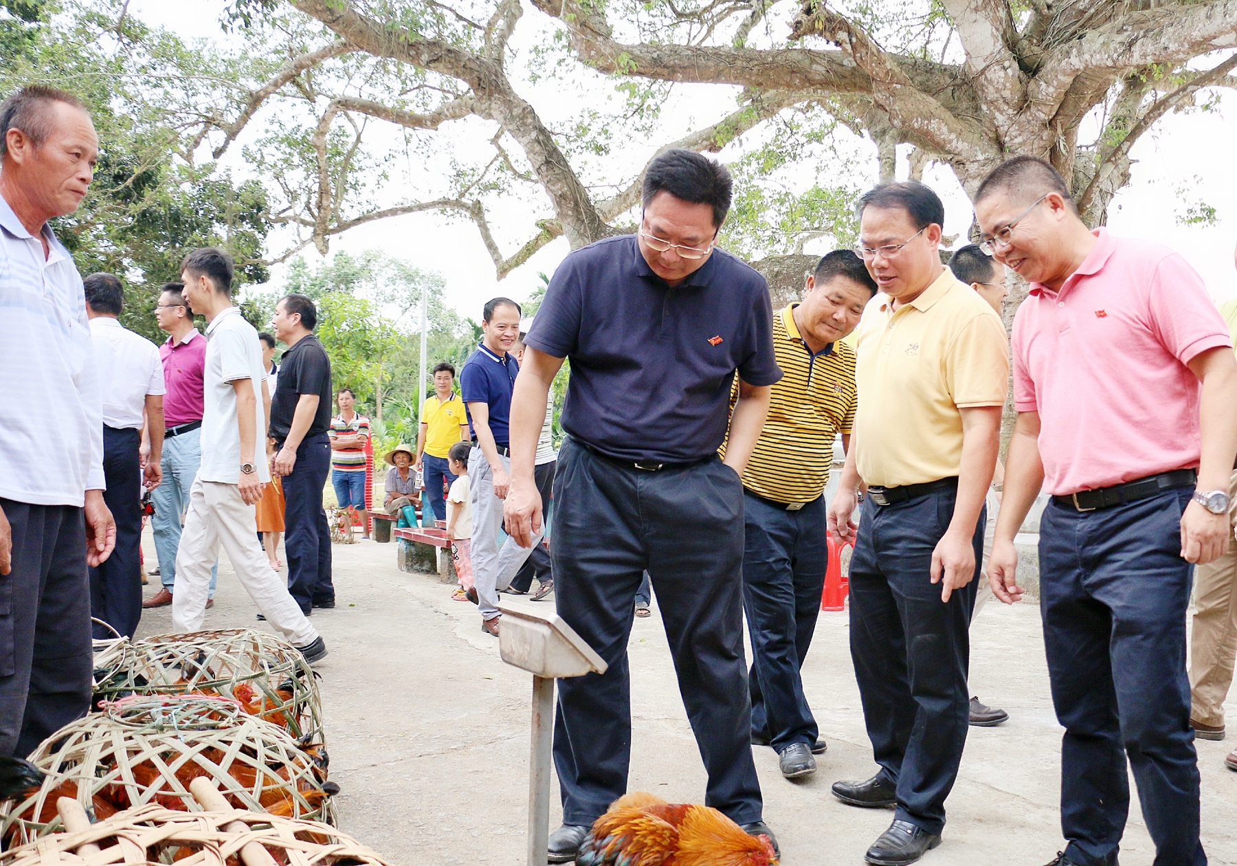 J9国际站|集团官网