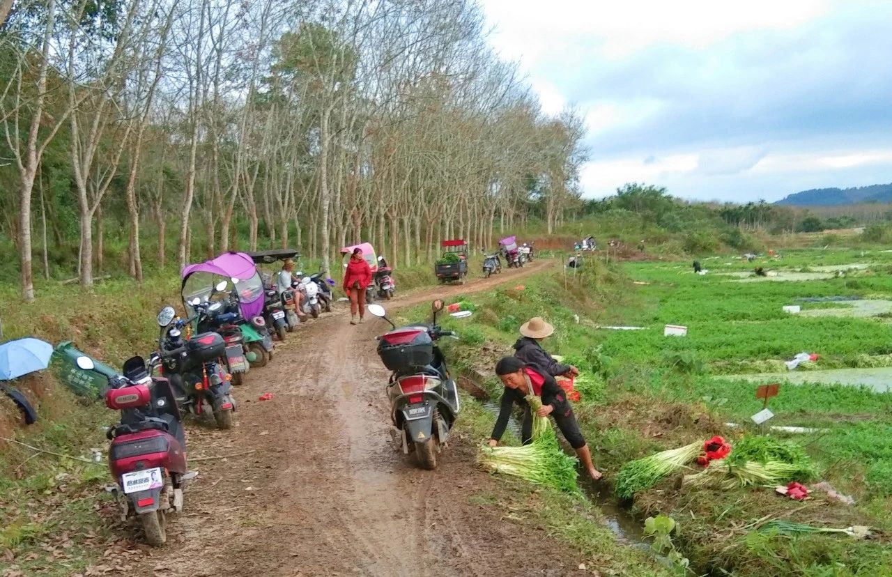 J9国际站|集团官网