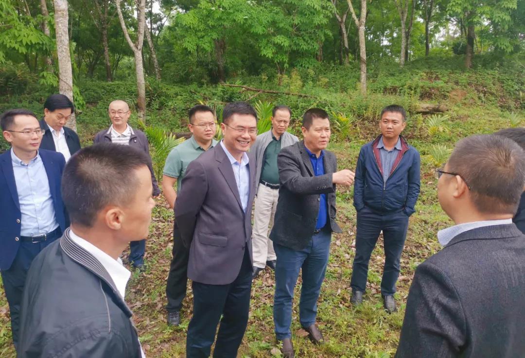 J9国际站|集团官网