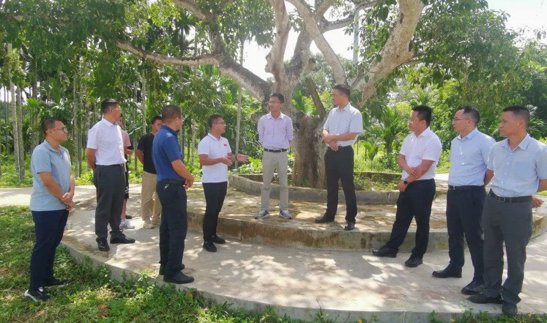 J9国际站|集团官网