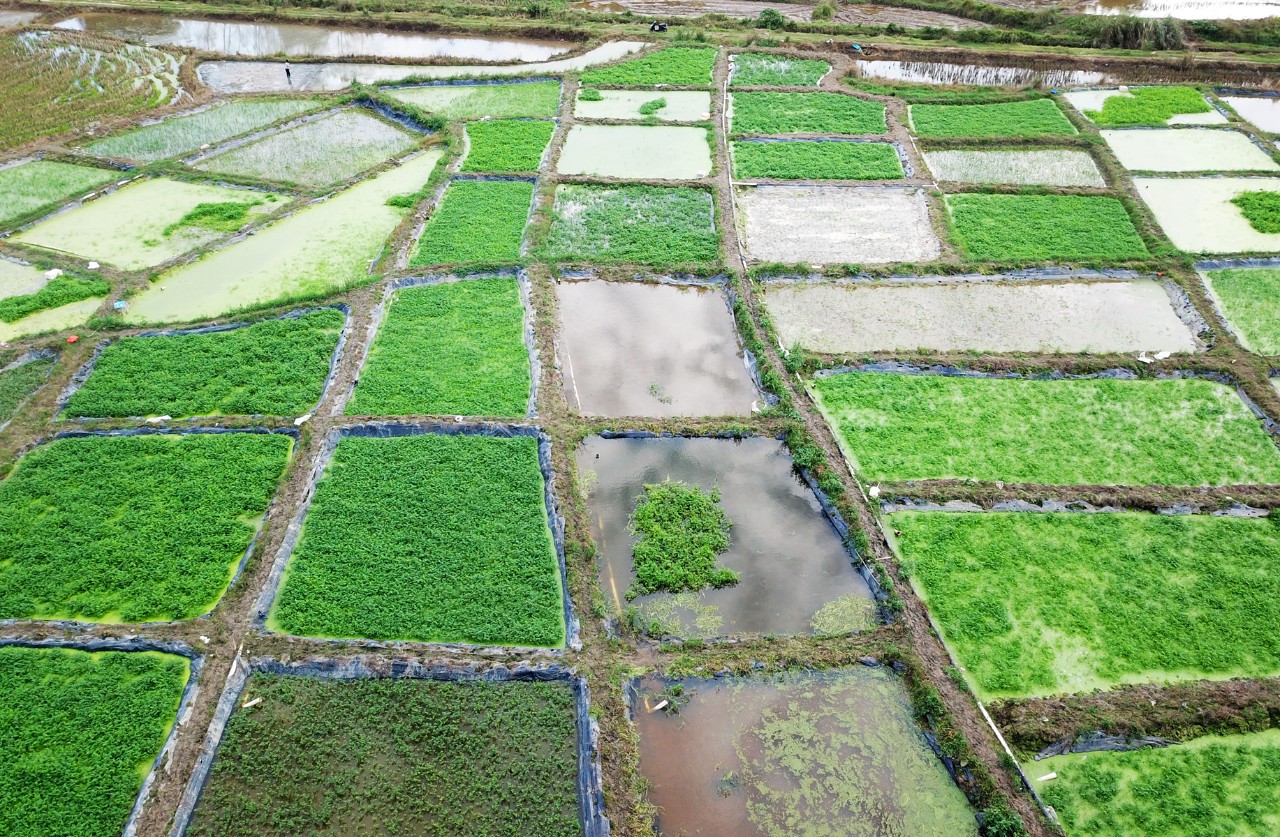 J9国际站|集团官网